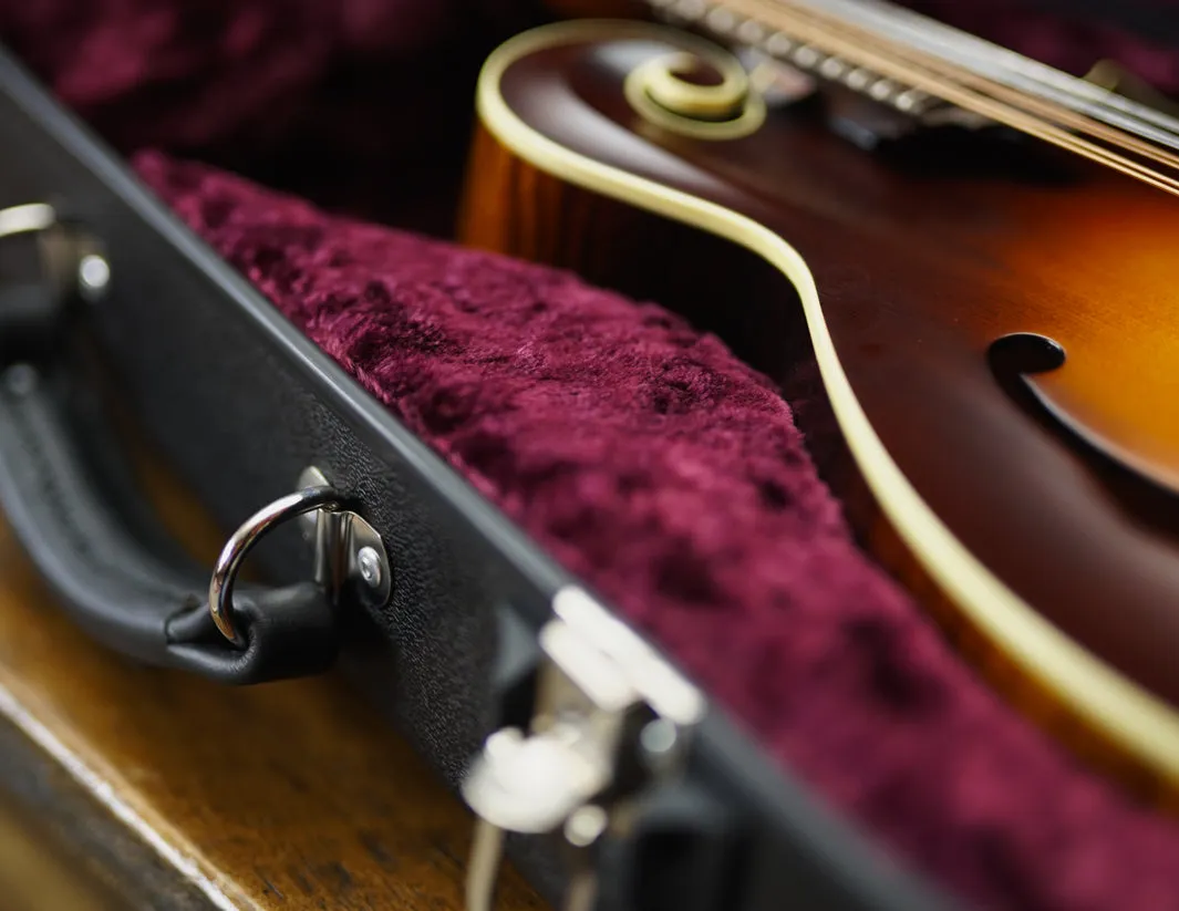 Calton Mandolin Black / Burgundy Interior