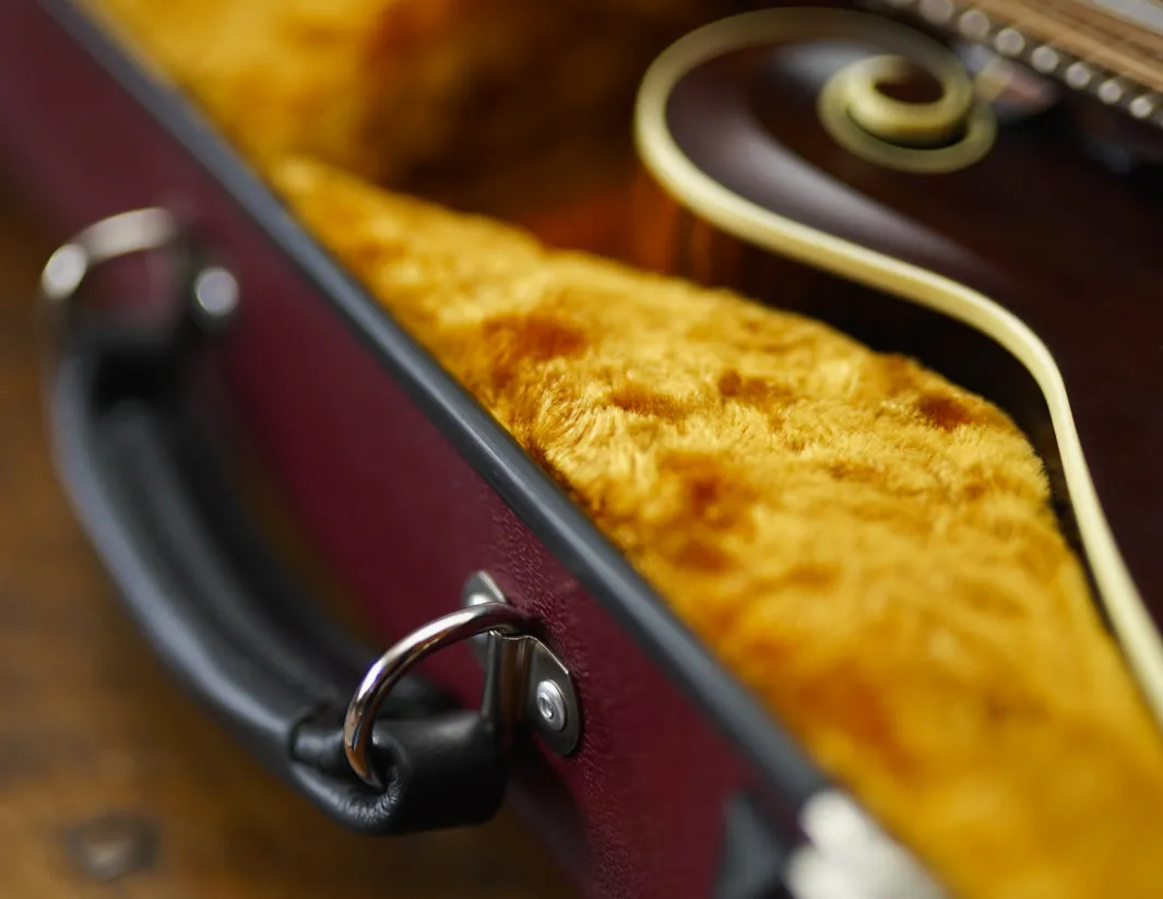 Calton Mandolin Burgundy / Gold Interior