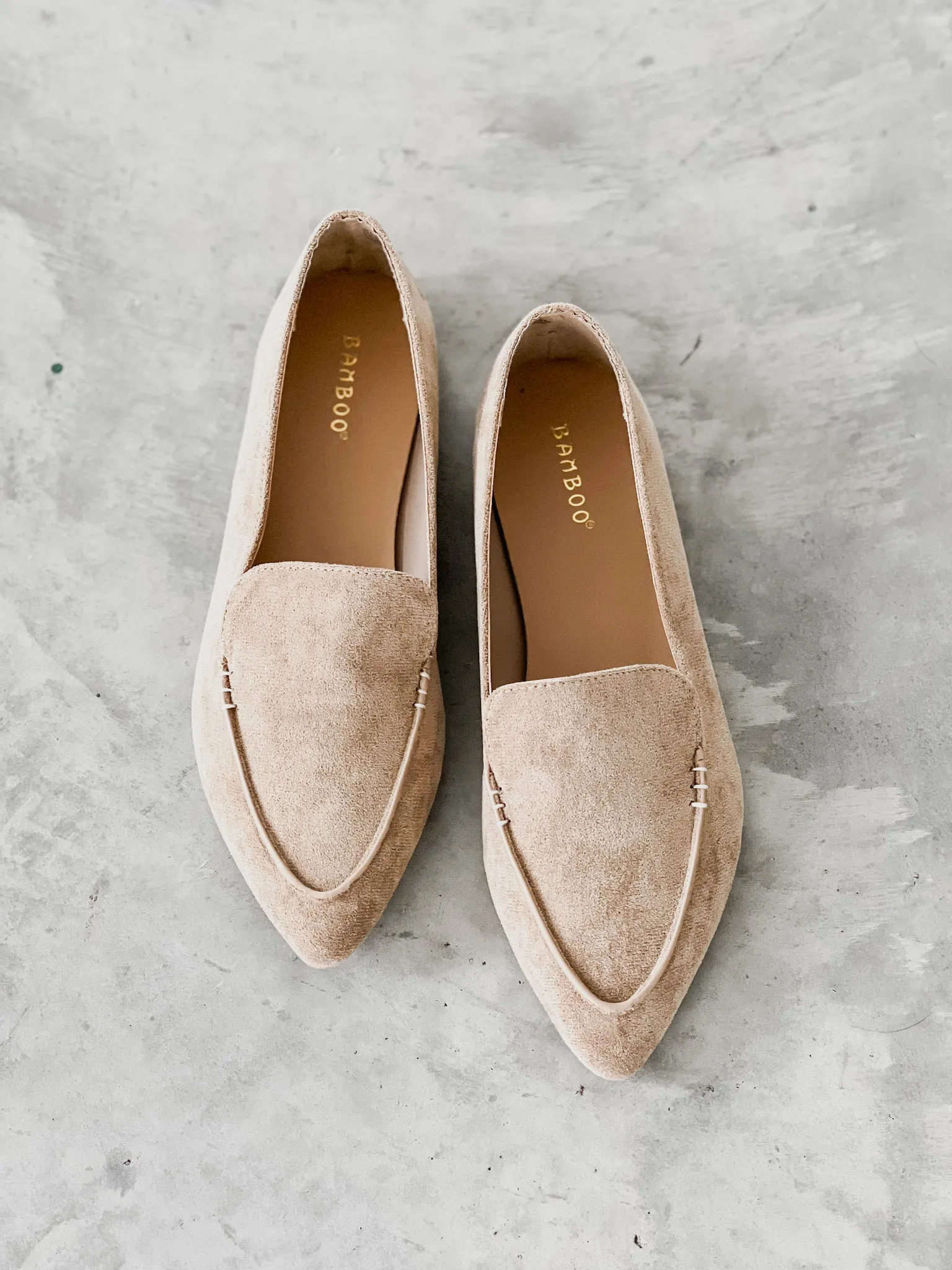 Journey Pointed Toe Ballet Flats