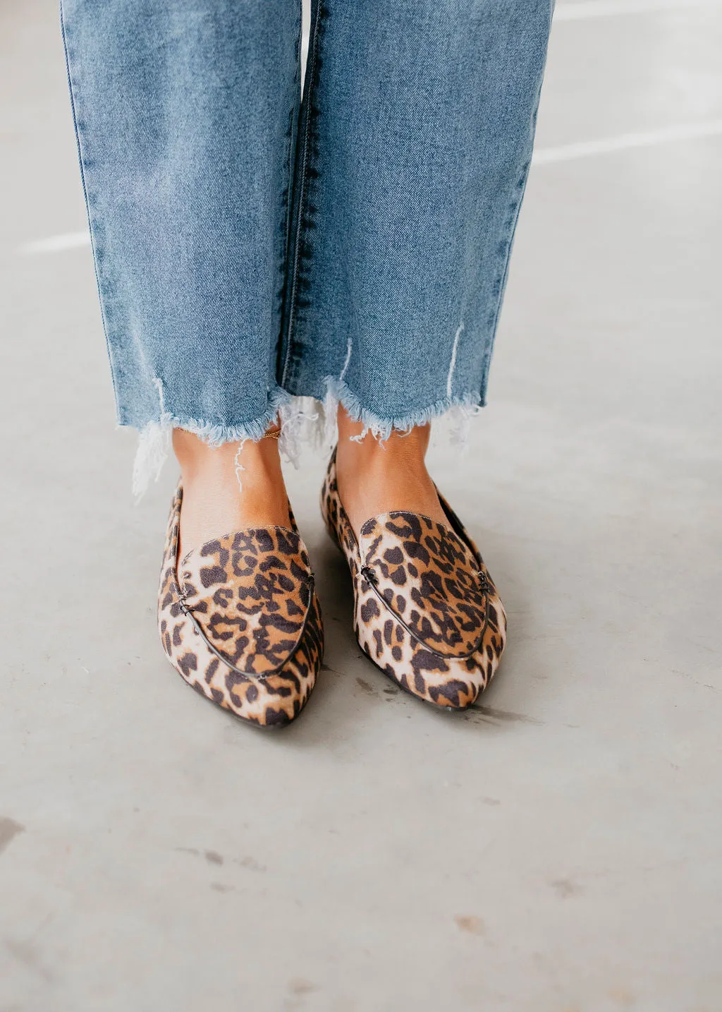 Journey Pointed Toe Ballet Flats