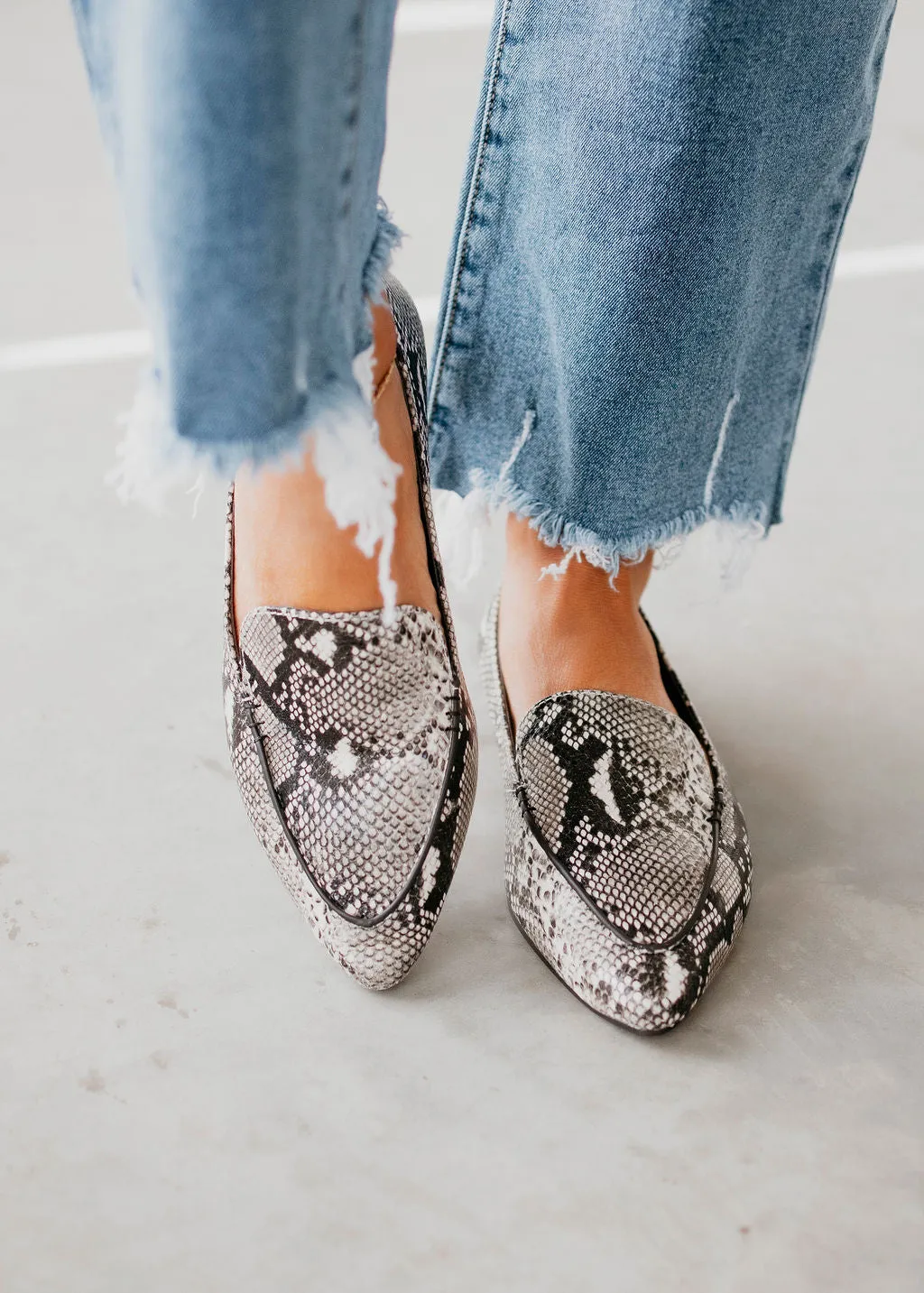 Journey Pointed Toe Ballet Flats