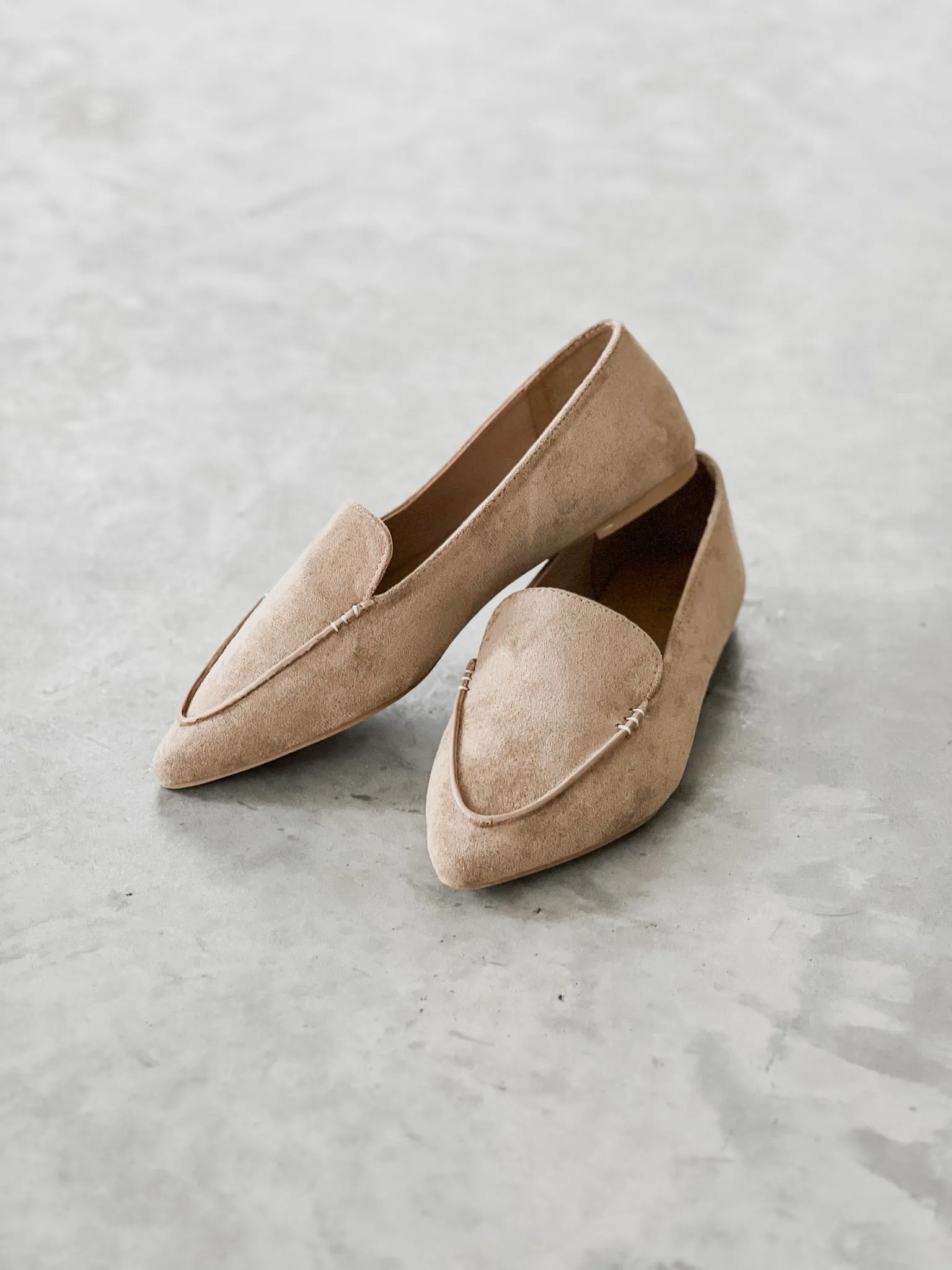 Journey Pointed Toe Ballet Flats