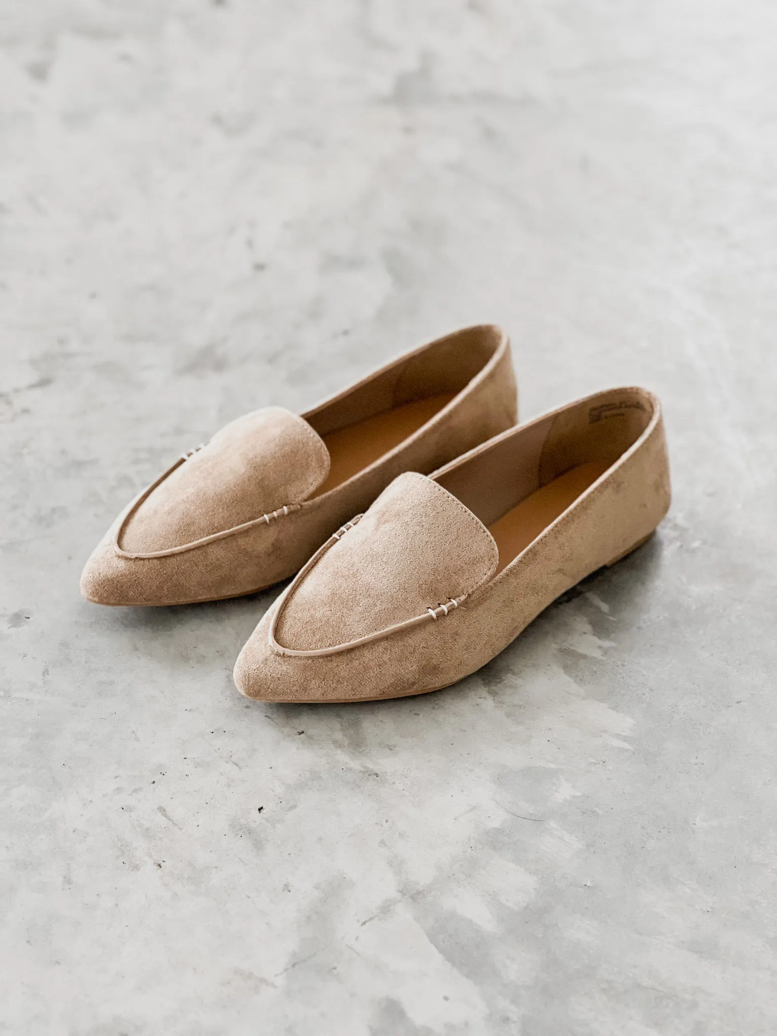 Journey Pointed Toe Ballet Flats