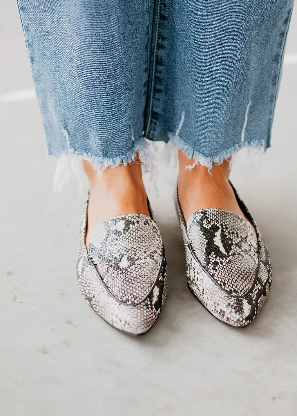 Journey Pointed Toe Ballet Flats